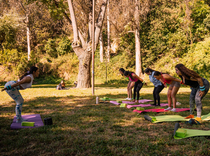 Clase de YOGA GRUPALES